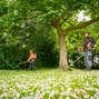Bomen als natuurlijke airco’s: